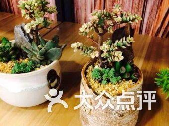 中山五路五月花电影院,光影交织的都市观影圣地