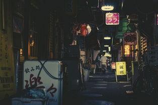 日本影院午夜免费91,日本影院免费91观影体验揭秘